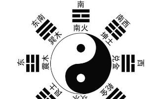 《宋史·邵雍傳》