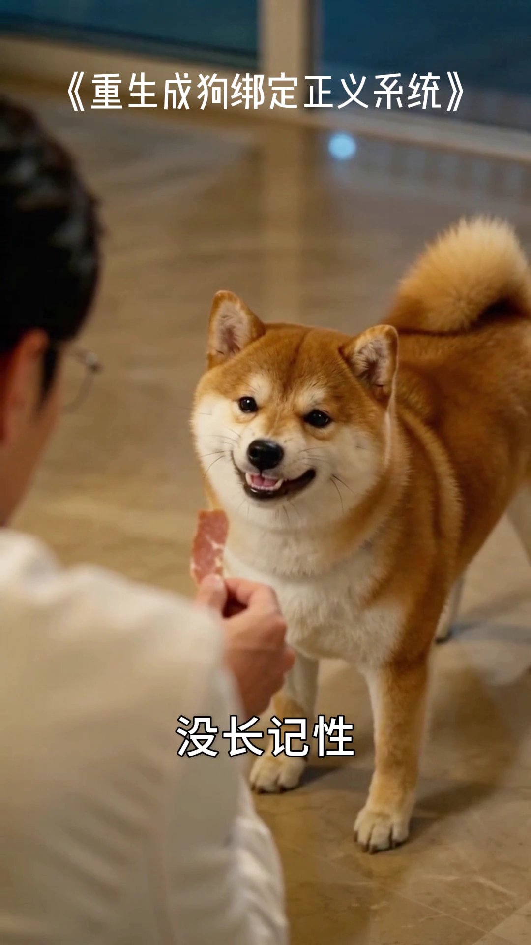 重生成狗绑定正义系统  01